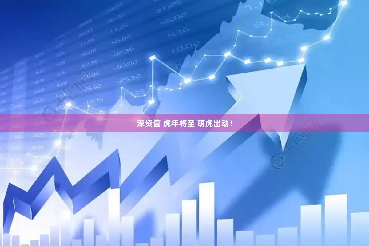 深资管 虎年将至 萌虎出动！