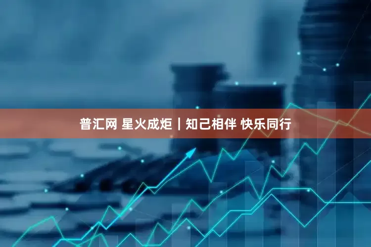 普汇网 星火成炬｜知己相伴 快乐同行
