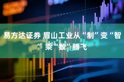 易方达证券 眉山工业从“制”变“智” 乘“数”腾飞