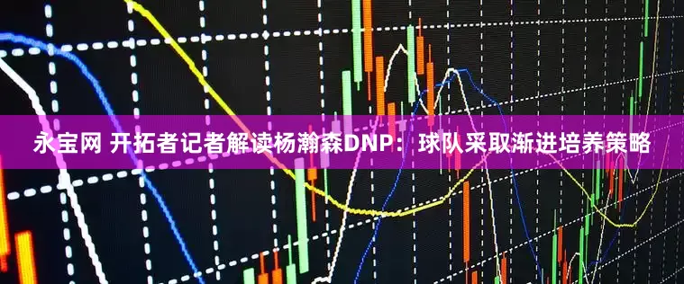 永宝网 开拓者记者解读杨瀚森DNP:球队采取渐进培养策略