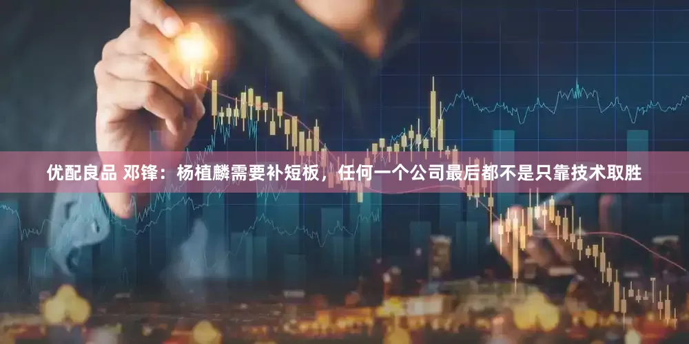 优配良品 邓锋：杨植麟需要补短板，任何一个公司最后都不是只靠技术取胜